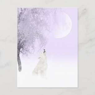 Carte Postale Loup blanc hurlant