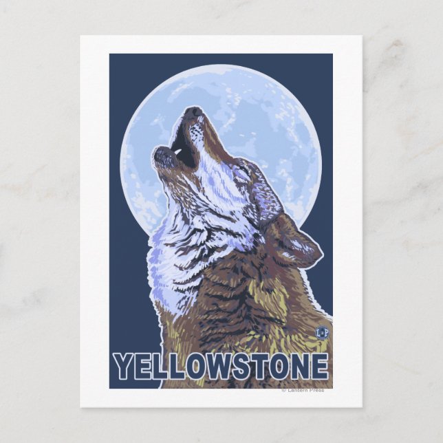 Carte Postale Loup de YellowstoneHowling (Devant)