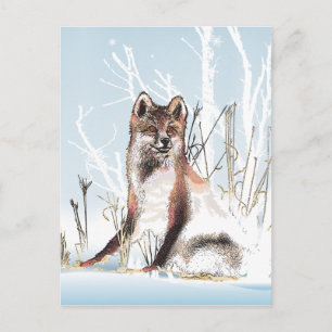 Carte Postale Loup d'hiver
