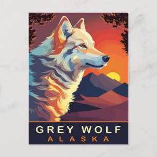Carte Postale Loup Gris, Alaska, Coucher de soleil sur les Monta