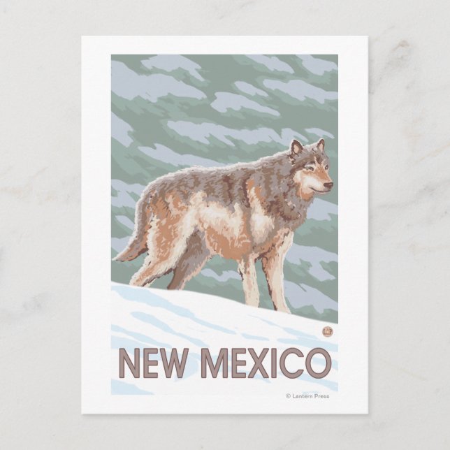 Carte Postale Loup gris deboutNouveau-Mexique (Devant)
