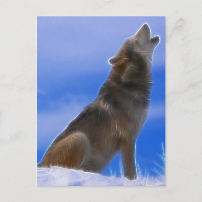 Carte Postale Loup gris en voie de disparition (Devant)