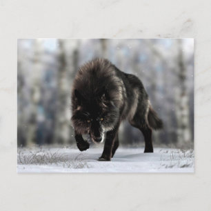 Carte Postale Loup noir en colère
