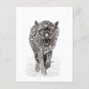 Carte Postale Loup noir en colère dans la neige, hiver sauvage