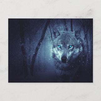Carte Postale Loup sauvage aux beaux yeux bleus