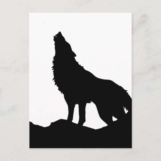 Carte Postale Loup solitaire debout sur une colline (Devant)