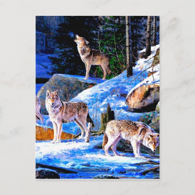 Carte Postale Loups en peinture à la neige (Devant)