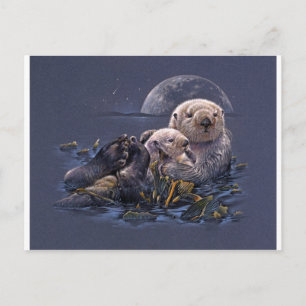 Carte Postale Loutres au clair de lune