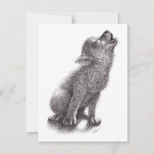 Carte Postale Louveteau mignon