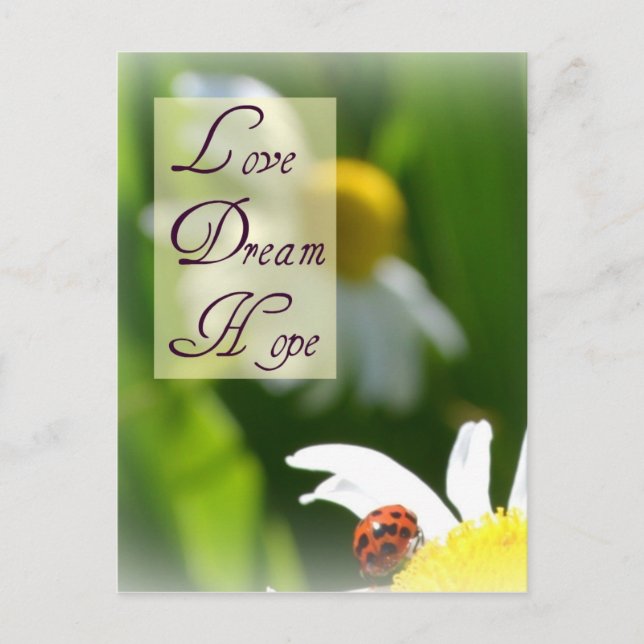 Carte Postale Love, Dream, Hope Ladybug Post Card (Devant)