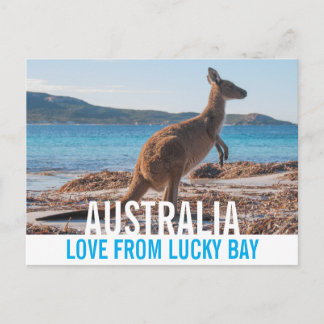 Carte Postale Love From Australia Kangaroo Lucky Bay Photo