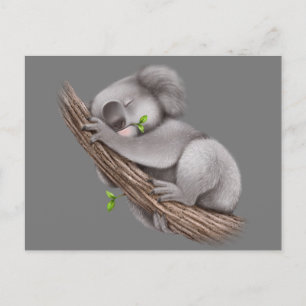 Carte postale Love Koala Bears