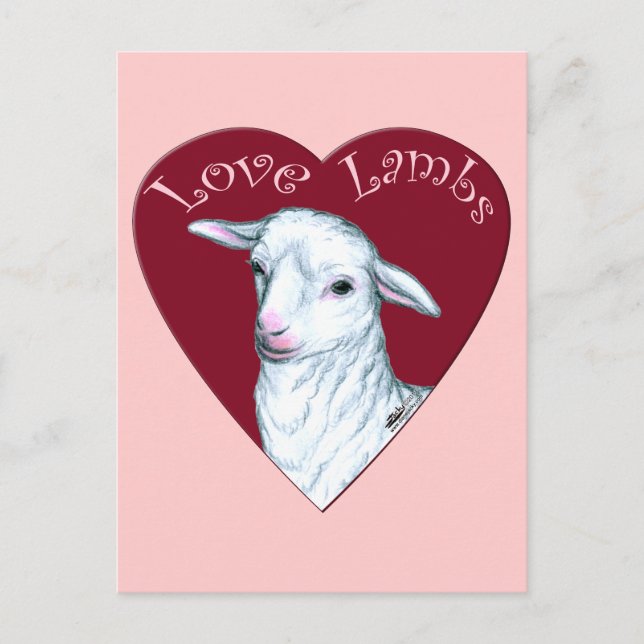 Carte Postale Love Lambs (Devant)