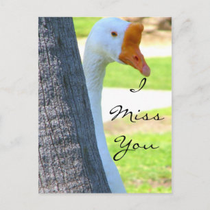 Carte postale Love/N'importe quelle occasion