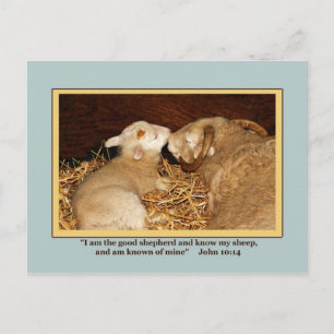 Carte postale LOVE & PEACE