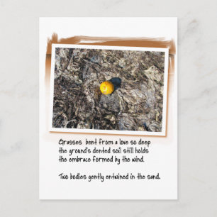 Carte Postale Love Poem et Beached Orange