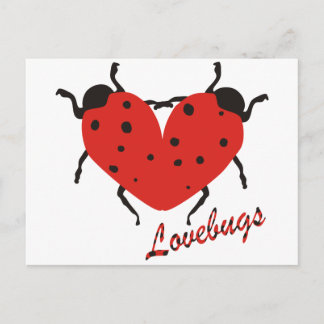 Carte Postale Lovebugs