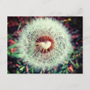 Carte Postale Löwenzahn