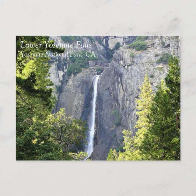 Carte Postale Lower Yosemite Falls, parc national Yosemite, CA P (Devant)