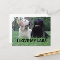 LR I Love My Labs avec photo