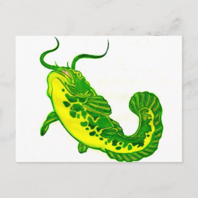 Carte Postale Lucky Catfish (Devant)
