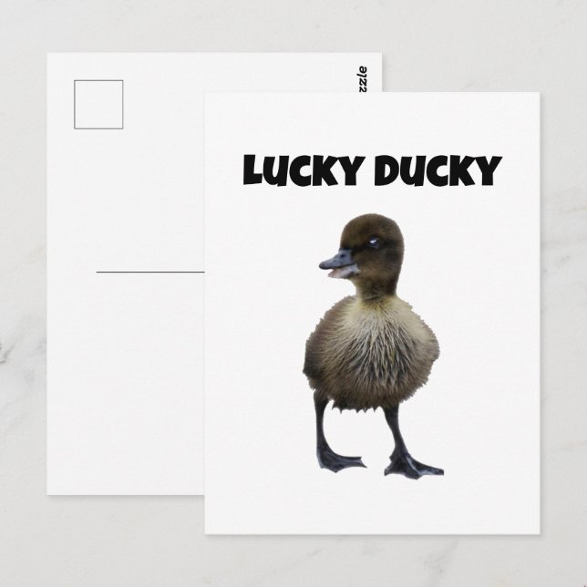 Carte Postale Lucky Duck Funny Cute Duckling Oiseau Photo Art (Devant / Derrière)