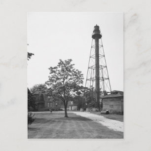 Carte Postale Lumière arrière de la gamme Reedy Island