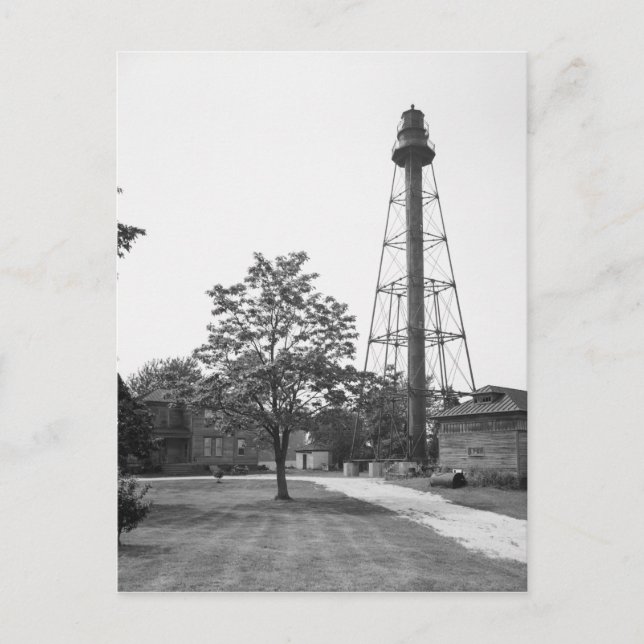 Carte Postale Lumière arrière de la gamme Reedy Island (Devant)