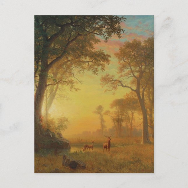 Carte Postale Lumière dans la forêt par Albert Bierstadt (Devant)