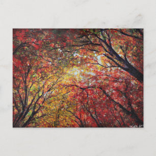 Carte Postale Lumière d'automne