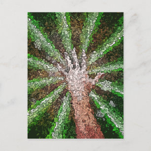 Carte Postale Lumière de capture