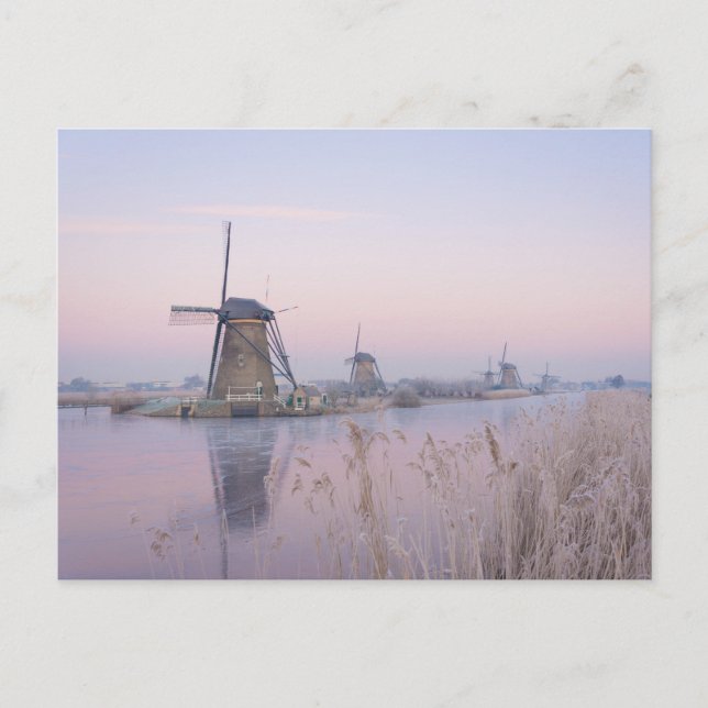 Carte Postale Lumière du lever du soleil en hiver sur les moulin (Devant)