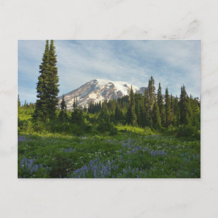 Carte Postale Lumière du matin du Mont Rainier