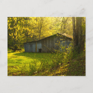 Carte Postale Lumière du matin du printemps du Tennessee rural