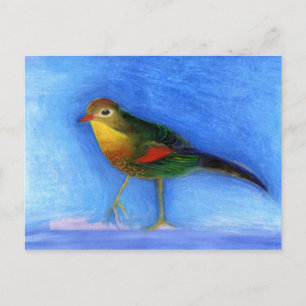 Carte Postale Lumière nocturne 2012