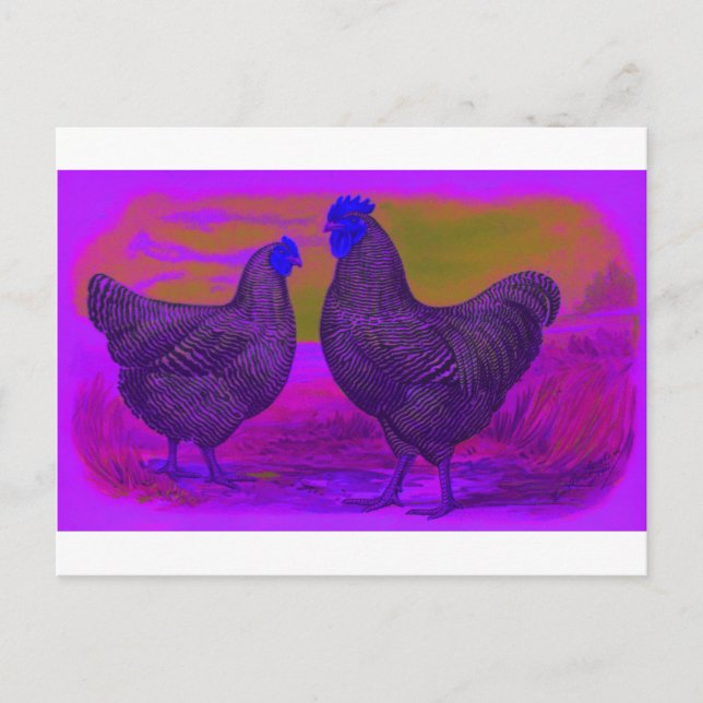 Carte Postale LumièreNoire (Devant)