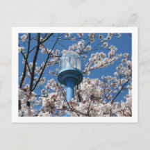 Lumières de rue de Tokyo : Den'en Chofu