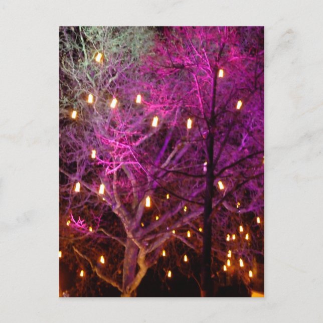 Carte Postale Lumières du marché de Noël à Cologne (Devant)