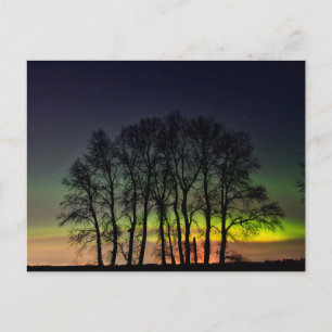 Carte Postale Lumières du Nord Manitoba Canada Grande Pointe