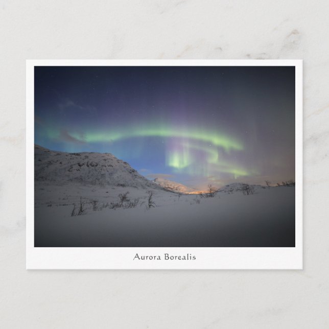 Carte Postale Lumières du Nord Nord Norvège (Devant)