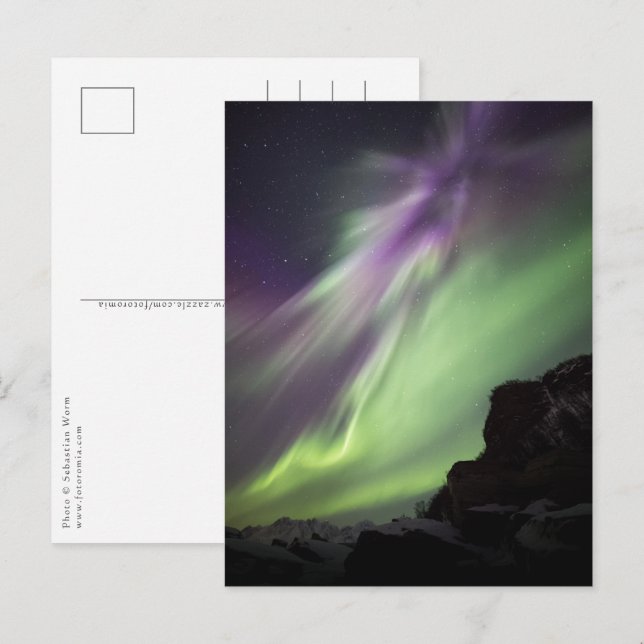 Carte Postale Lumières du Nord Norvège (Devant / Derrière)
