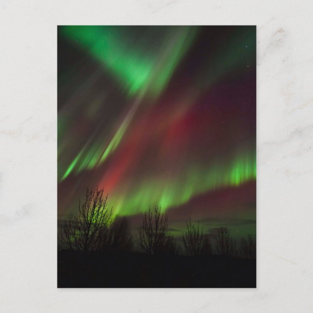 Carte Postale Lumières du Nord | Scandinavie, Islande (Devant)