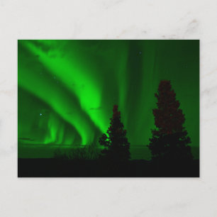 Carte Postale Lumières du nord vertes