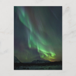 Carte Postale Lumières du Nord   Whitehorse, Yukon