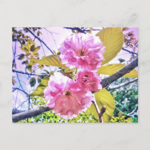 CARTE POSTALE LUMINEUSE 3PINK BLOSSOMS