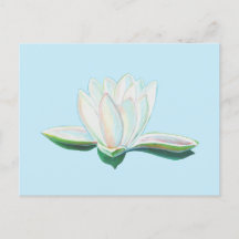 Lumineuse de lotus blanc