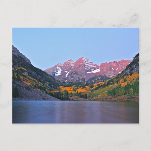 Carte Postale Luminosité du marron (Devant)