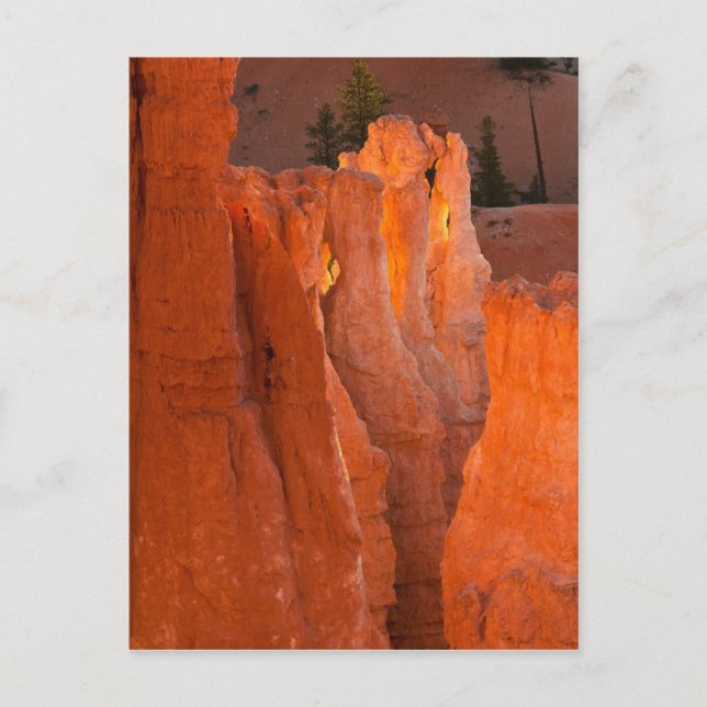 Carte Postale Luminosité intérieure (Devant)