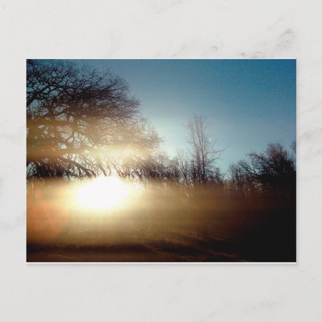 Carte Postale Luminosité matinale (Devant)