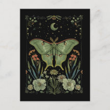 luna Moth Gothique Aquarelle Art